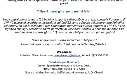 Tulipani meravigliosi per bambini felici!